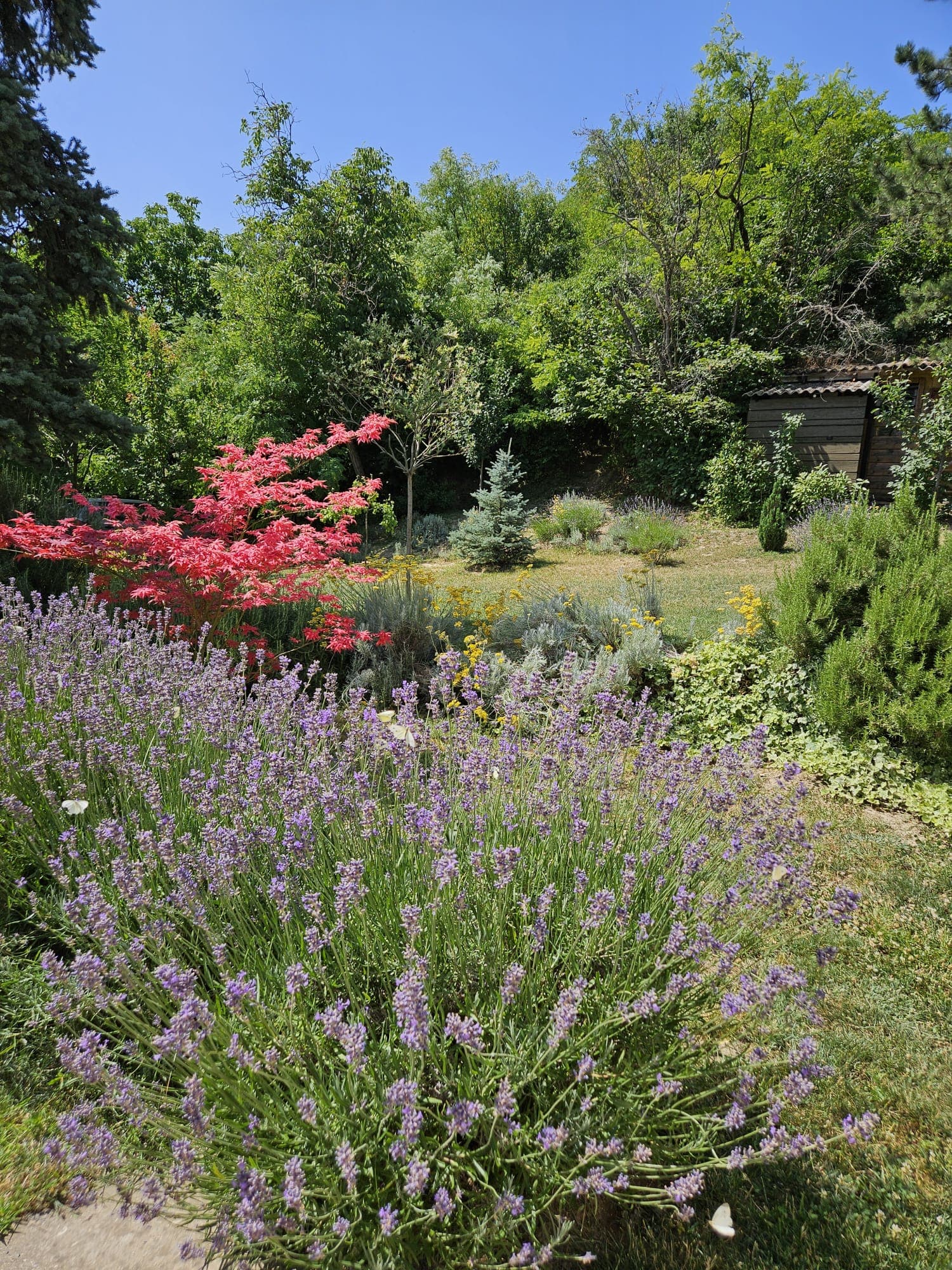 Luksuzno dvorište Honey Spa House za odmor u prirodi