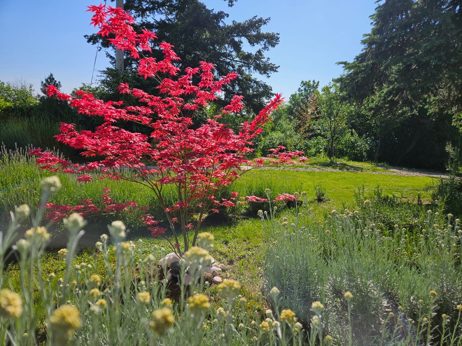Još jedan kadar dvorišta i spoljašnjeg prostora za opuštanje
